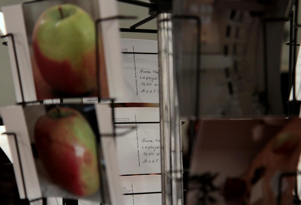 Vasja Nagy: Post/Art in a Suitcase